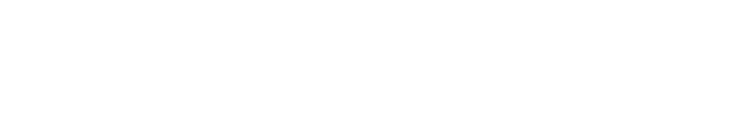 Shopify Partners