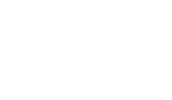 BLOOM Transitions, Digital Marketing Specialists, HubSpot Experts, Shopify, SEO