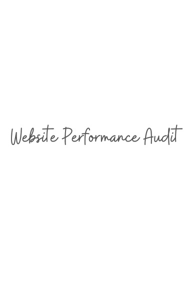 Website Performance Audit